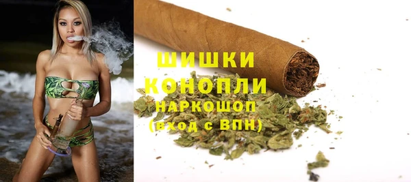 spice Вяземский