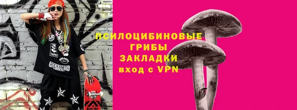 spice Вяземский